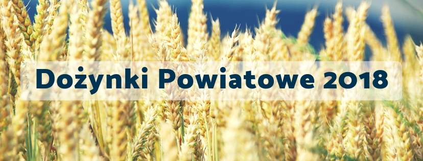 Ilustracja wprowadzenia: Gmina Radwanice doceniona podczas Dożynek Powiatowych!