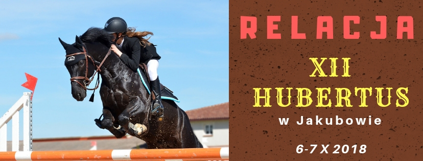Ilustracja wprowadzenia: XII HUBERTUS - Relacja