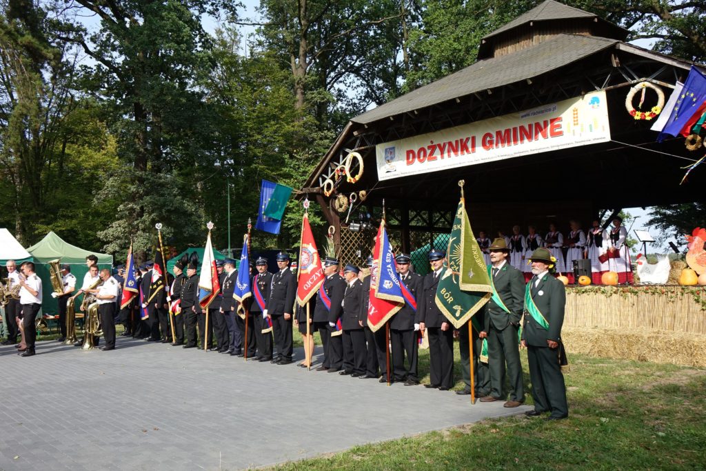 Święto Plon&oacute;w w Radwanicach - zdjęcie 8