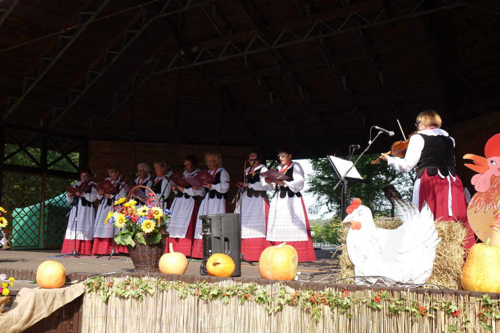 Święto Plon&oacute;w w Radwanicach - zdjęcie 9