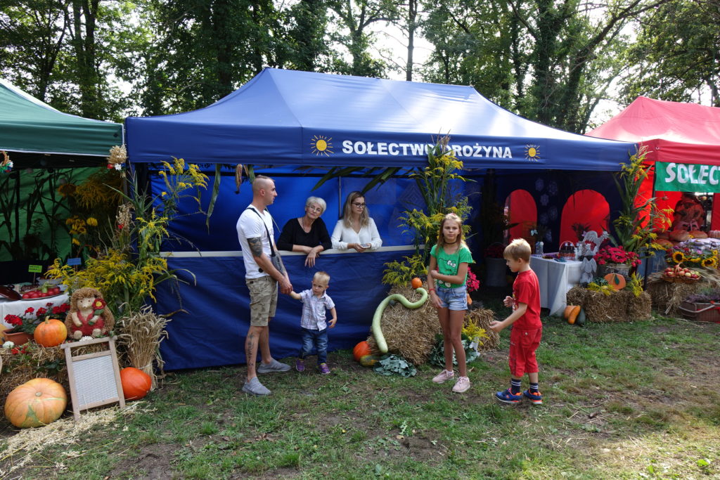 Święto Plon&oacute;w w Radwanicach - zdjęcie 10