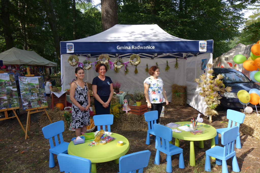 Święto Plon&oacute;w w Radwanicach - zdjęcie 14