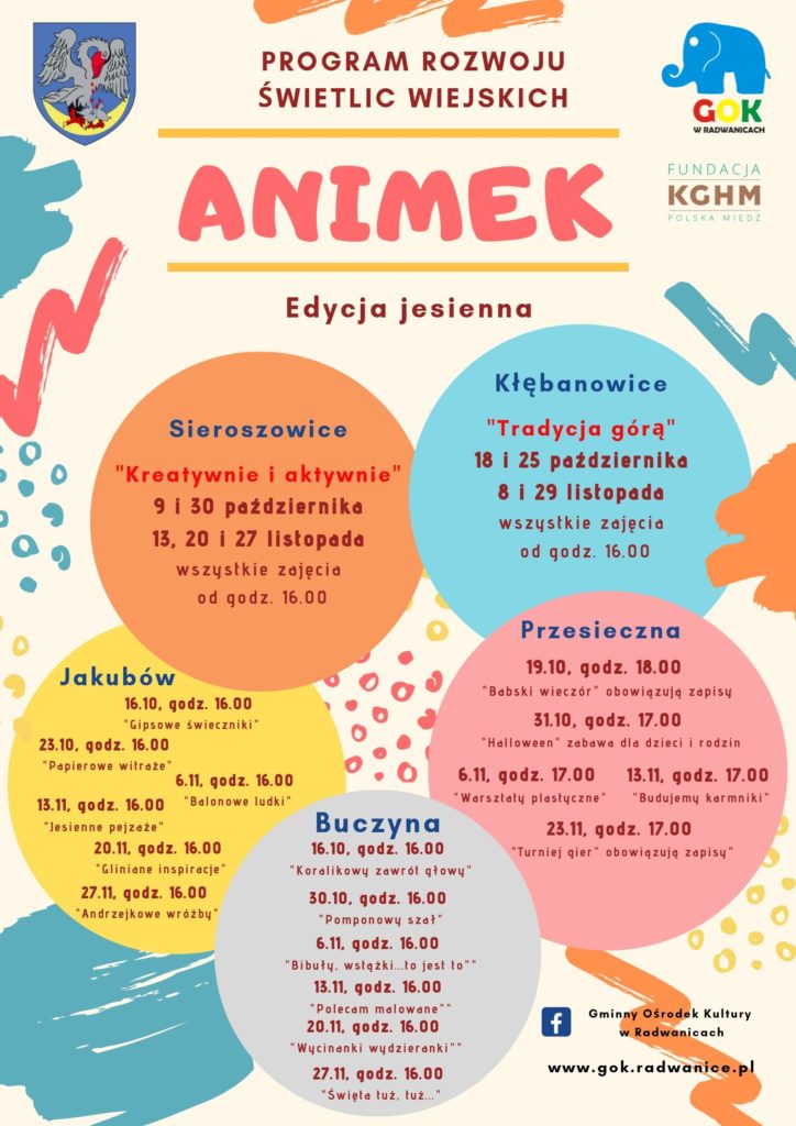 "ANIMEK" program rozw&oacute;j świetlic wiejskich w Gminie Radwanice - zdjęcie 2