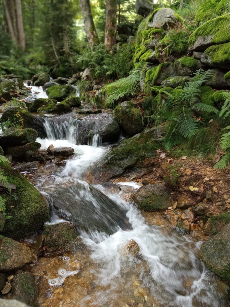 Wycieczka do Świeradowa zdr&oacute;j-relacja - zdjęcie 6